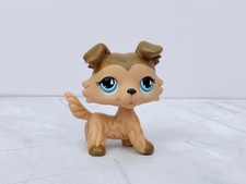 Littlest Pet Shop #893 Collie