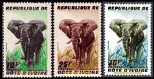 EBS Ivory Coast - Côte