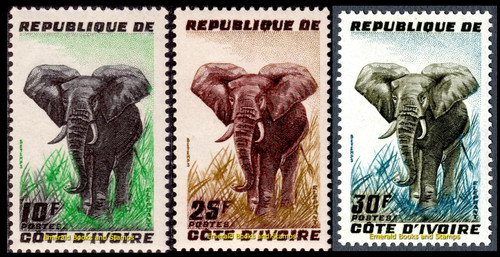Ebs ivory coast - coast,