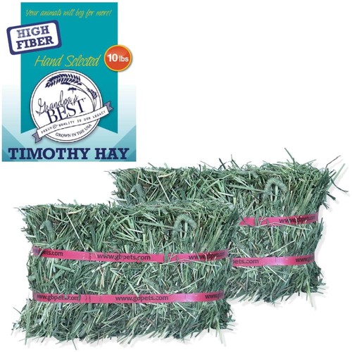 Timothy hay mini bale - hay,