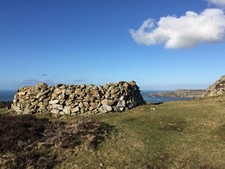Photo 6x4 Sheep Shelter