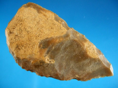 Fine authentic kentucky paleo - fine,
