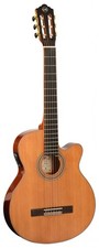 Guitar By Tanglewood, Model