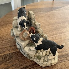 Border Fine Art Collie