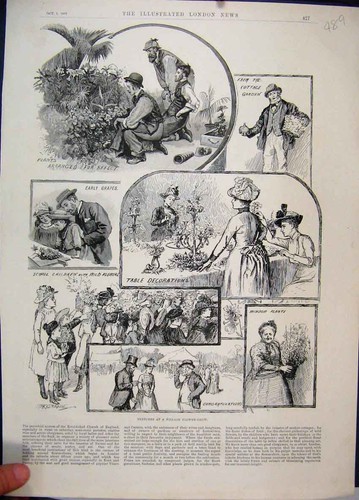 Old antique print - old, 1889