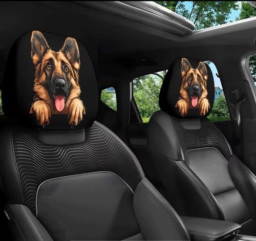 Pair car head - of, rest