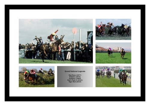 Grand national horse - horse, racing