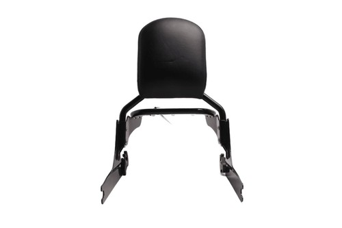 Sissy bar backrest luggage