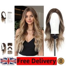 Natural-Looking 24-Inch Ombre