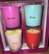 Victoria Meredith 4 Mini