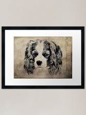 Cavalier King Charles Spaniel