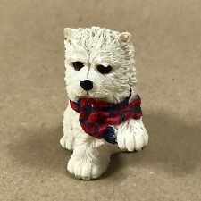West Highland Terrier Wearing