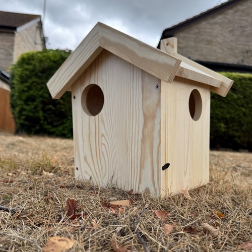 Large wooden squirrel - wooden, box