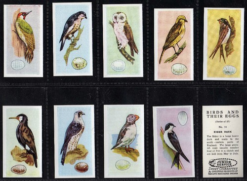Cigarette cards birds and - cards,