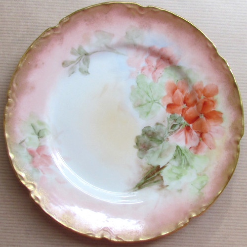 Nautilus porcelain glasgow - nautilus,