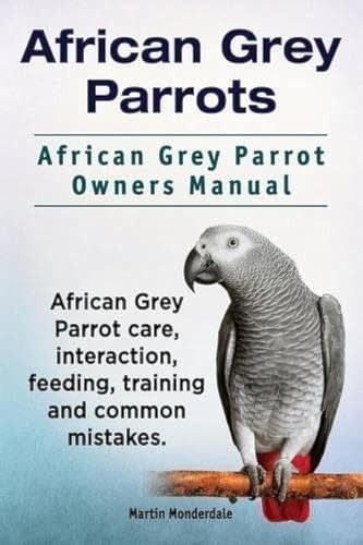 African grey parrots - grey,