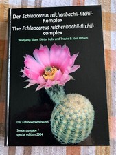 Der Echinocereus