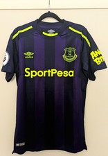 Match issue Everton 2017-18