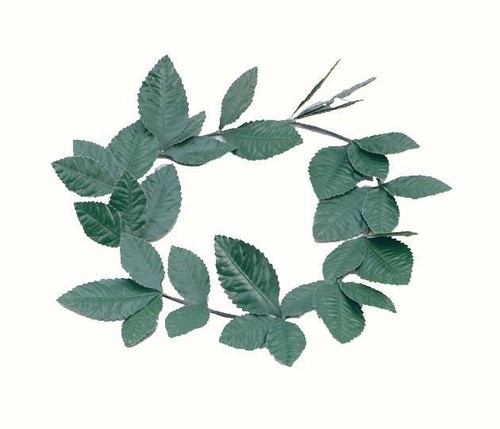 Green laurel leaf headband - laurel,