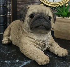 Lifelike Adorable Fawn Pug
