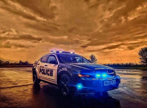 American police car wedding - police,
