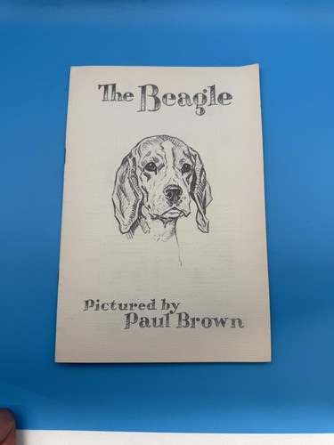 The beagle paul brown - beagle, dog