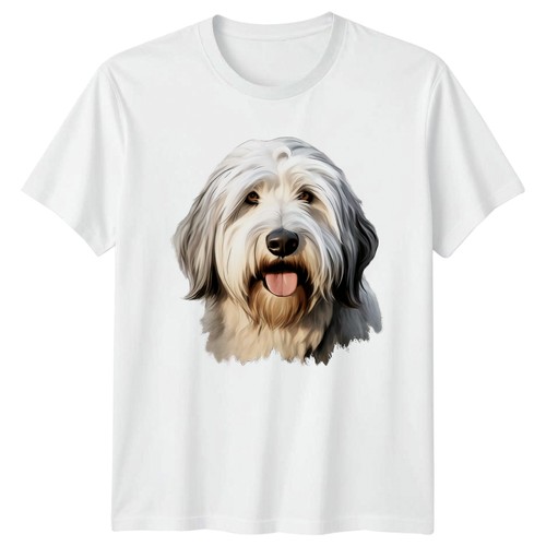 Old english sheepdog - old,