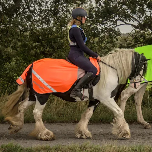 Equi light ride led vis - equi, hi