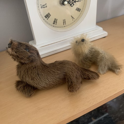 Vintage seal made - seal, fur