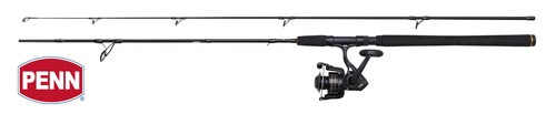 Penn wrath spinning combo - penn, ii
