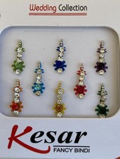Kesar Multi Colour Indian