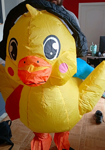 Inflatable yellow duck animal - inflatable,