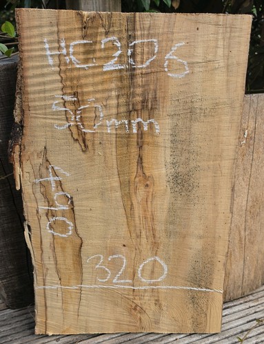 Spalted chestnut live edge - spalted,