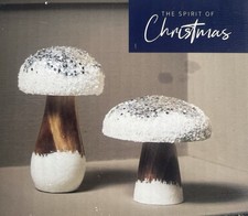 Pair of Wooden Glitter