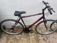 Apollo Mountain Bike Men's