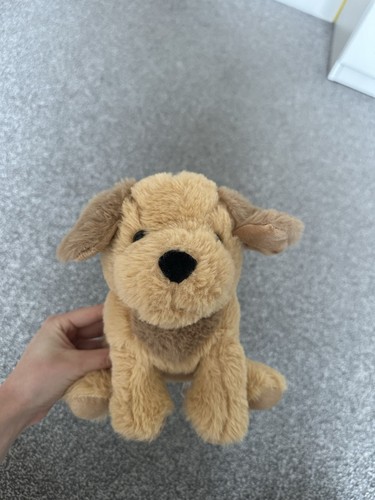Cute puppy teddy - cute, toy/