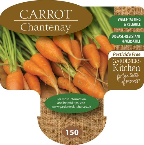 Carrot plants chantenay 6 - plants,