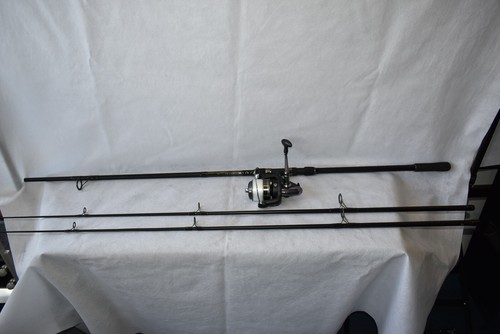 Questor carp kinetics - carp,