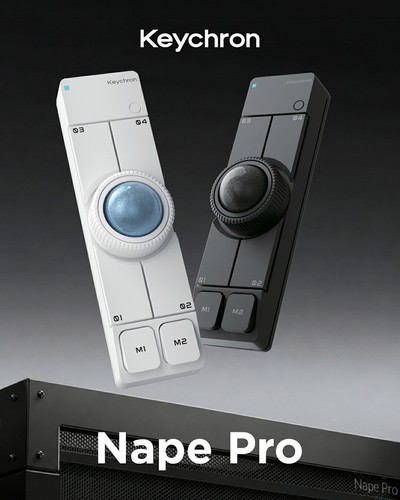 Black white nape - or, pro