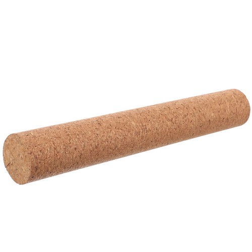Interesting reptile toy - interesting,