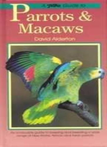 Bird keeper guide parrots - bird,