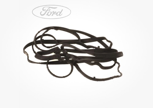Focus mk1 genuine - focus,