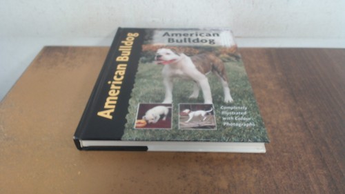 American bulldog pet - (pet, love