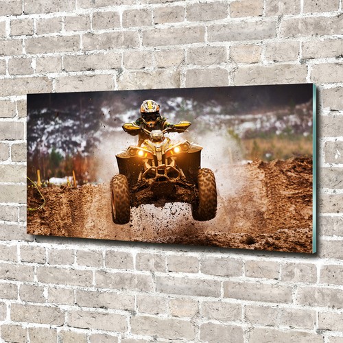 Tulup acrylic glass print - tulup,