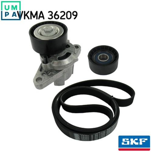 Vribbed belt set vkma 36209 - vribbed,