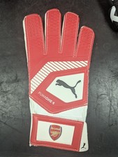 David Seaman Signed Glove
