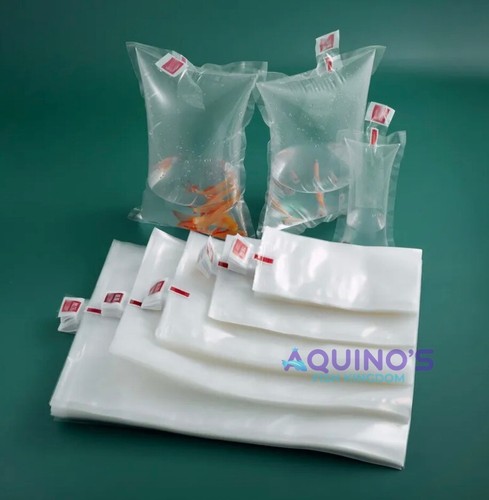 Aquarium live fish shipping - aquarium,