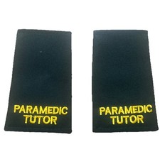 Paramedic tutor    Green