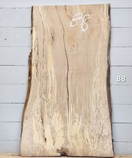 Live Edge Beech Timber -