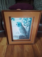 Owl Art by Mark Chester Original Acrylic 3 Dimensional Effect. Signed by Artist